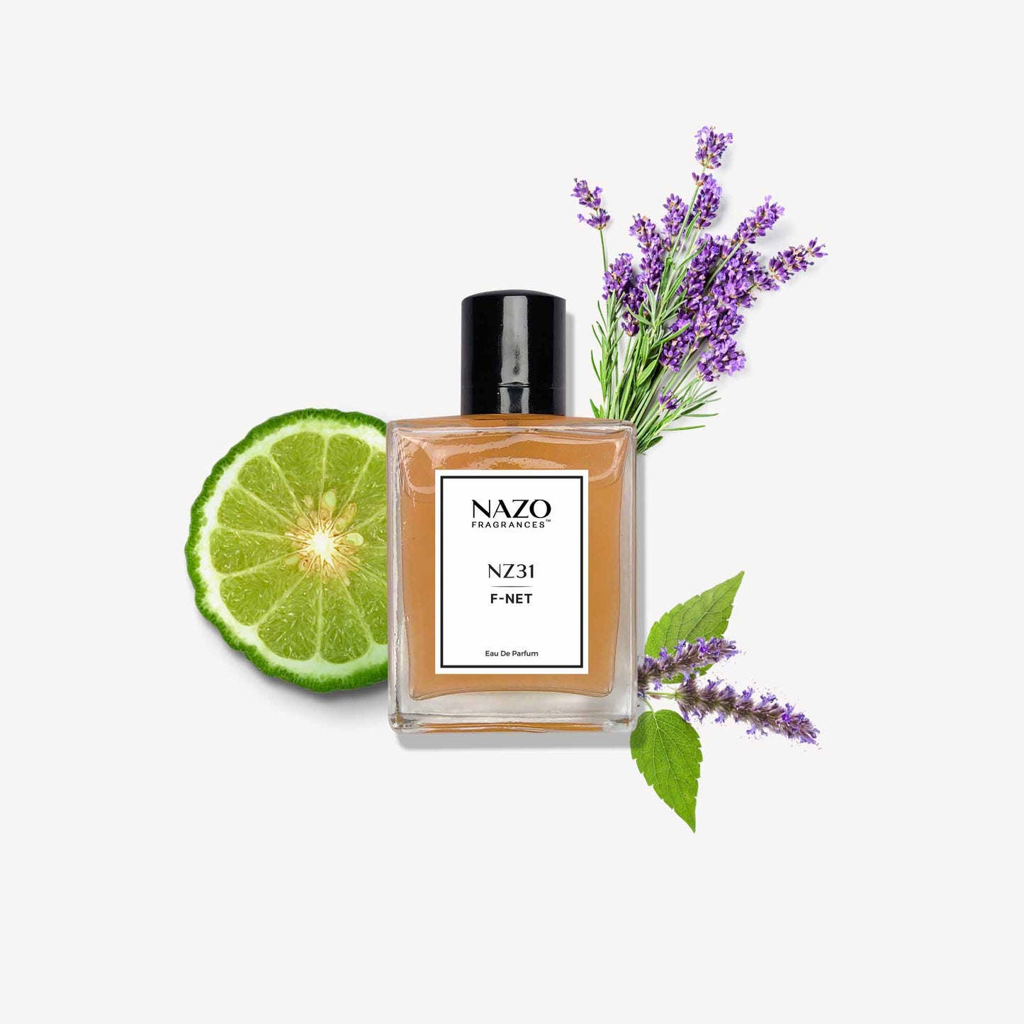 NZ31 - F-NET | Inspiration : Dior Fahrenheit