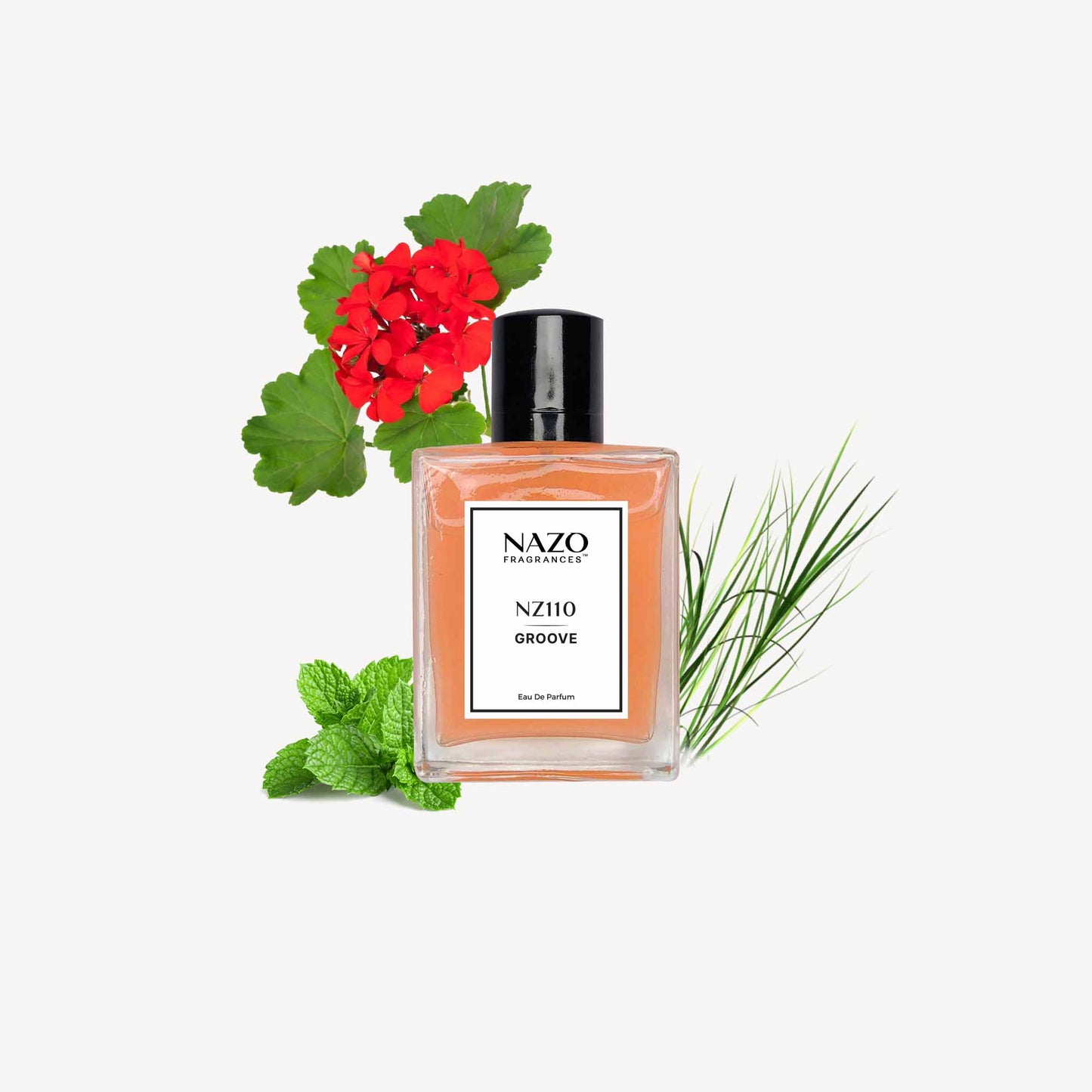 NZ110 - GROOVE | Inspiration : Versace Eros
