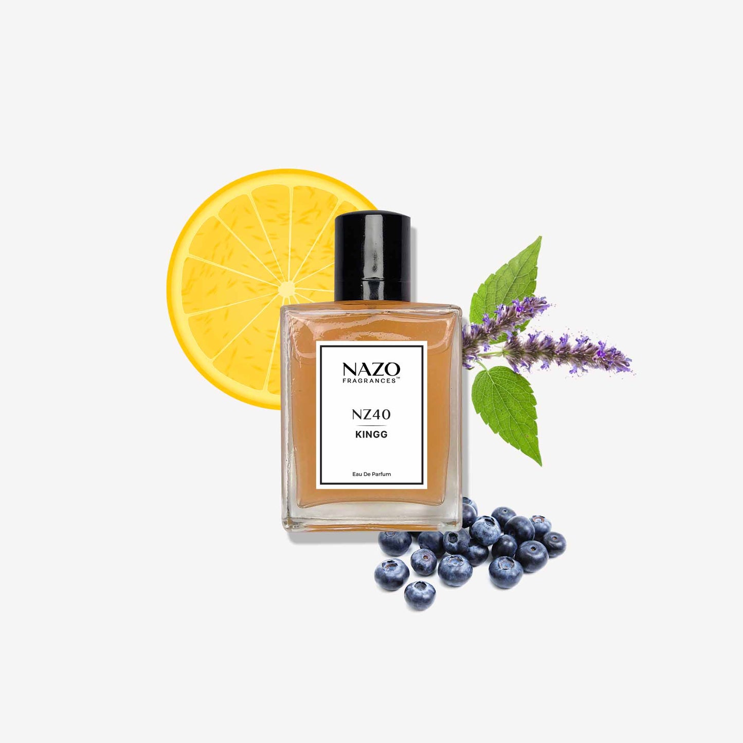 NZ40 - KINGG | Inspiration : D&G King