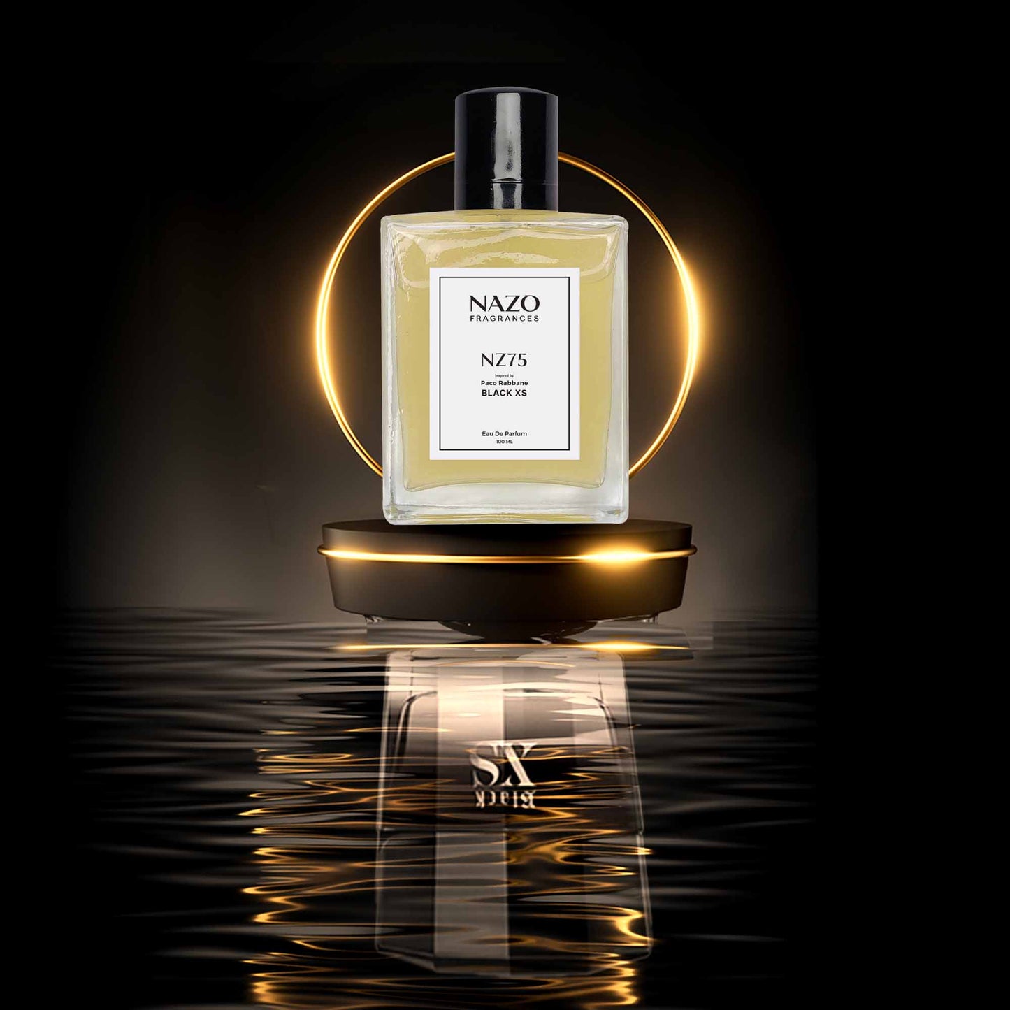 NZ75 | Inspiration : Paco Rabbane Black XS
