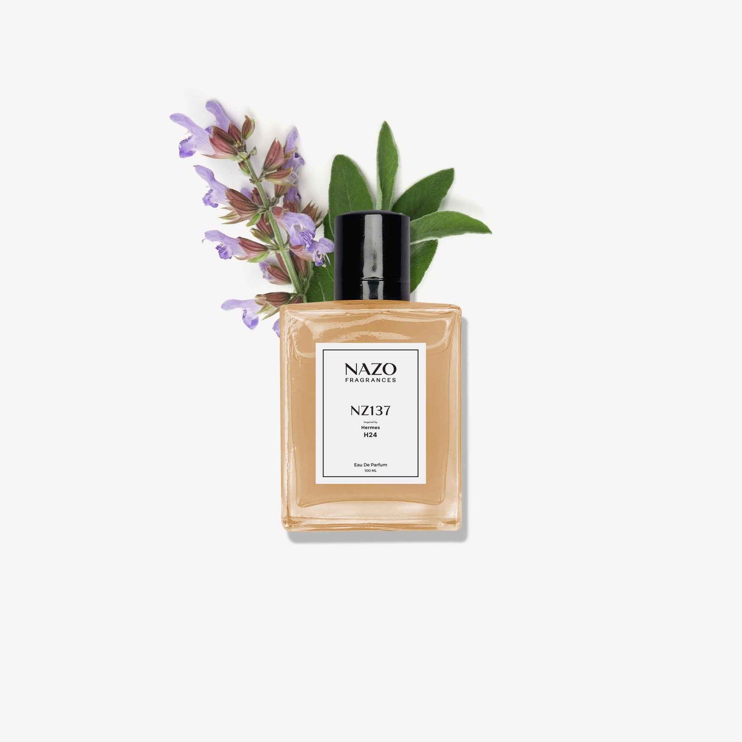 NZ137 | Inspiration : Hermes 24