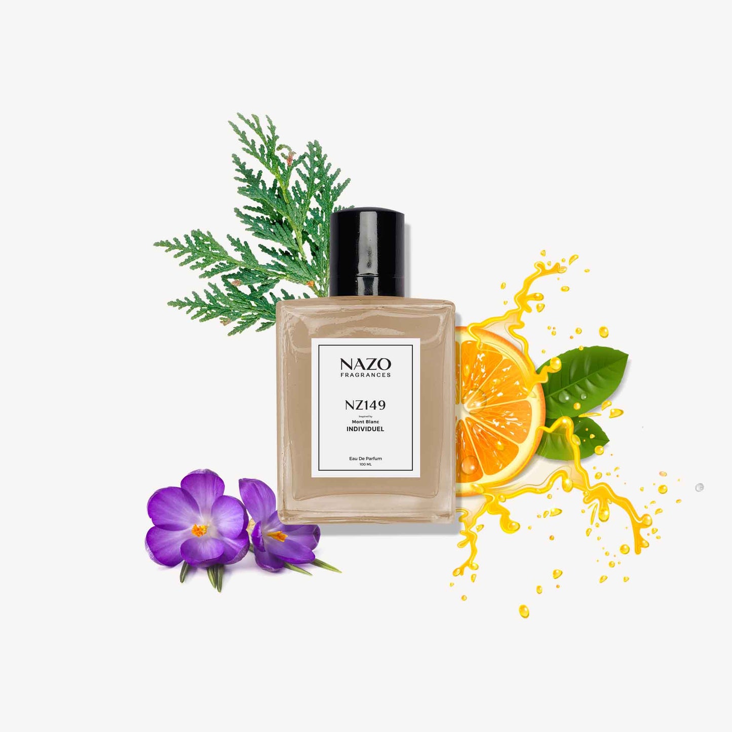 NZ149 | Inspiration : Mont Blanc Individuel