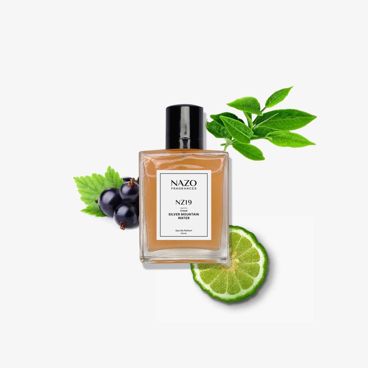 NZ19 | Inspiration : Creed Silver Mountan Water