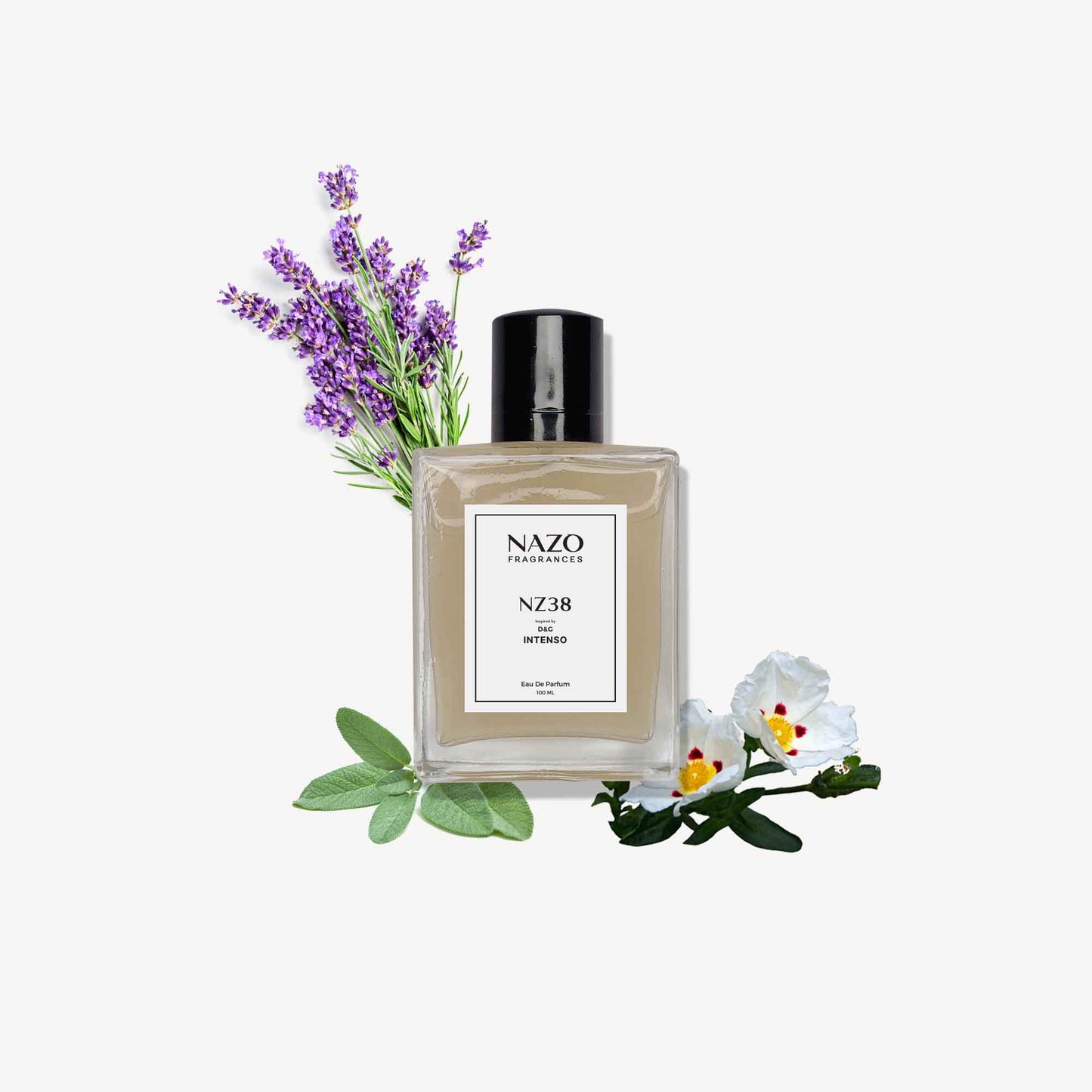 NZ38 | Inspiration : D&G Pour Homme Intenso